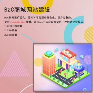 B2C商城网站建设